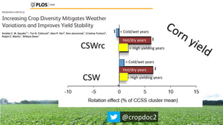 CSW
CSWrc
< Cold/wet years
Hot/dry years
< High yielding years
< Cold/wet years
Hot/dry years
< High yielding years
Hot/dry years
Hot/dry years
@cropdoc2
 