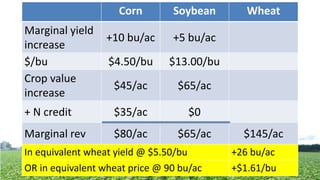 Corn Soybean Wheat
Marginal yield
increase
+10 bu/ac +5 bu/ac
$/bu $4.50/bu $13.00/bu
Crop value
increase
$45/ac $65/ac
+ N credit $35/ac $0
Marginal rev $80/ac $65/ac $145/ac
In equivalent wheat yield @ $5.50/bu +26 bu/ac
OR in equivalent wheat price @ 90 bu/ac +$1.61/bu
 