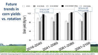 Submitted: Assessing long-term historical and future trends in corn yields and soil carbon under diversified crop rotations. Jarecki et al. (2017)
Future
trends in
corn yields
vs. rotation
37 bu/ac diff
CCSS vs CSW
64 bu/ac diff
CCSS vs CCSW
 