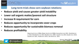 Long-term trials show corn-soybean rotations:
• Reduce yield and causes greater yield instability
• Lower soil organic matter/poorest soil structure
• Increase N requirement for corn
• Reduces opportunity to incorporate cover crops
• Reduces opportunity for sustainable biomass removal
• Reduces profitability
Meyer-Aurich et al, 2006a; Meyer-Aurich et al 2006b; Sanscartier et al, 2013; Munkholm et
al, 2012; Munkholm et al, 2013; Muellera et al, 2009; Gaudin et al, 2013; Gaudin et al. 2014;
Gaudin et al. 2015, Kludze et al. 2013.; Van Eerd et al.. 2014
Source: Deen (2017)
@cropdoc2
 