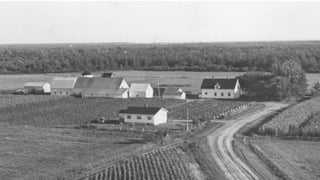 Image of an old farmstead
 