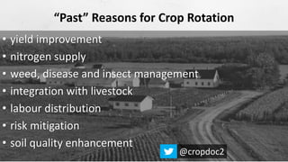 Image of an old farmstead
• yield improvement
• nitrogen supply
• weed, disease and insect management
• integration with livestock
• labour distribution
• risk mitigation
• soil quality enhancement
“Past” Reasons for Crop Rotation
@cropdoc2
 