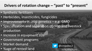 Drivers of rotation change – “past” to “present”
• Synthetic fertilizers
• Herbicides, insecticides, fungicides
• Improvements in crop genetics – e.g. GMO
• Specialization and separation of crop and livestock
production
• Increase in equipment size
• Government programs
• Market demand
• %age of rented land Source: Bill Deen (UG)
@cropdoc2
 