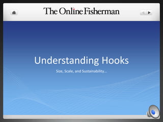 Understanding Hooks
Size, Scale, and Sustainability…
 