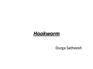 Hookworm

      Durga Satheesh
 