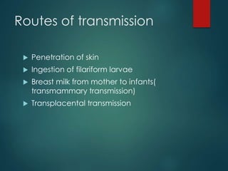 Routes of transmission
 Penetration of skin
 Ingestion of filariform larvae
 Breast milk from mother to infants(
transmammary transmission)
 Transplacental transmission
 