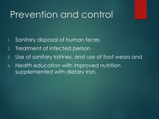 Prevention and control
1. Sanitary disposal of human feces
2. Treatment of infected person
3. Use of sanitary latrines, and use of foot wears and
4. Health education with improved nutrition
supplemented with dietary iron.
 