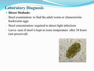 Laboratory Diagnosis
 Direct Methods:
- Stool examination: to find the adult worm or characteristic
hookworm eggs
- Stool concentration: required to detect light infections
- Larva- seen if stool is kept at room temperature after 24 hours
(not preserved)
 