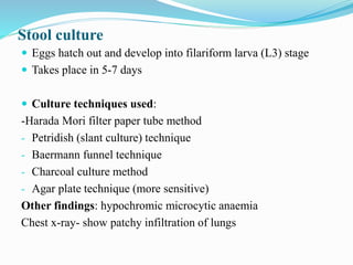 Stool culture
 Eggs hatch out and develop into filariform larva (L3) stage
 Takes place in 5-7 days
 Culture techniques used:
-Harada Mori filter paper tube method
- Petridish (slant culture) technique
- Baermann funnel technique
- Charcoal culture method
- Agar plate technique (more sensitive)
Other findings: hypochromic microcytic anaemia
Chest x-ray- show patchy infiltration of lungs
 