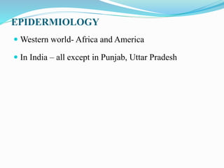 EPIDERMIOLOGY
 Western world- Africa and America
 In India – all except in Punjab, Uttar Pradesh
 