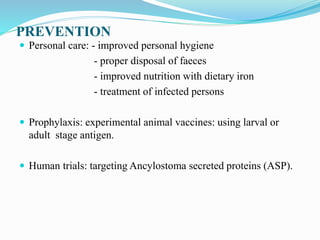 PREVENTION
 Personal care: - improved personal hygiene
- proper disposal of faeces
- improved nutrition with dietary iron
- treatment of infected persons
 Prophylaxis: experimental animal vaccines: using larval or
adult stage antigen.
 Human trials: targeting Ancylostoma secreted proteins (ASP).
 