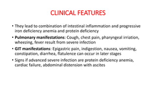 CLINICAL FEATURES
• They lead to combination of intestinal inflammation and progressive
iron deficiency anemia and protein deficiency
• Pulmonary manifestations: Cough, chest pain, pharyngeal irriation,
wheezing, fever result from severe infection
• GIT manifestations: Epigastric pain, indigestion, nausea, vomiting,
constipation, diarrhea, flatulence can occur in later stages
• Signs if advanced severe infection are protein deficiency anemia,
cardiac failure, abdominal distension with ascites
 
