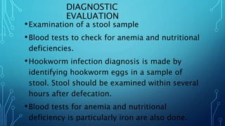 DIAGNOSTIC
EVALUATION
•Examination of a stool sample
•Blood tests to check for anemia and nutritional
deficiencies.
•Hookworm infection diagnosis is made by
identifying hookworm eggs in a sample of
stool. Stool should be examined within several
hours after defecation.
•Blood tests for anemia and nutritional
deficiency is particularly iron are also done.
 