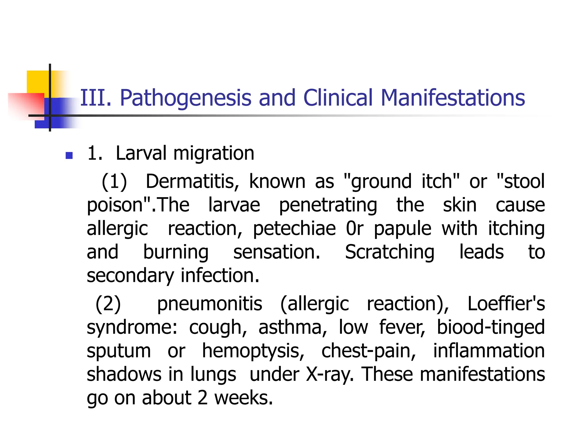 III. Pathogenesis and Clinical Manifestations
 1. Larval migration
(1) Dermatitis, known as "ground itch" or "stool
poison".The larvae penetrating the skin cause
allergic reaction, petechiae 0r papule with itching
and burning sensation. Scratching leads to
secondary infection.
(2) pneumonitis (allergic reaction), Loeffier's
syndrome: cough, asthma, low fever, biood-tinged
sputum or hemoptysis, chest-pain, inflammation
shadows in lungs under X-ray. These manifestations
go on about 2 weeks.
 