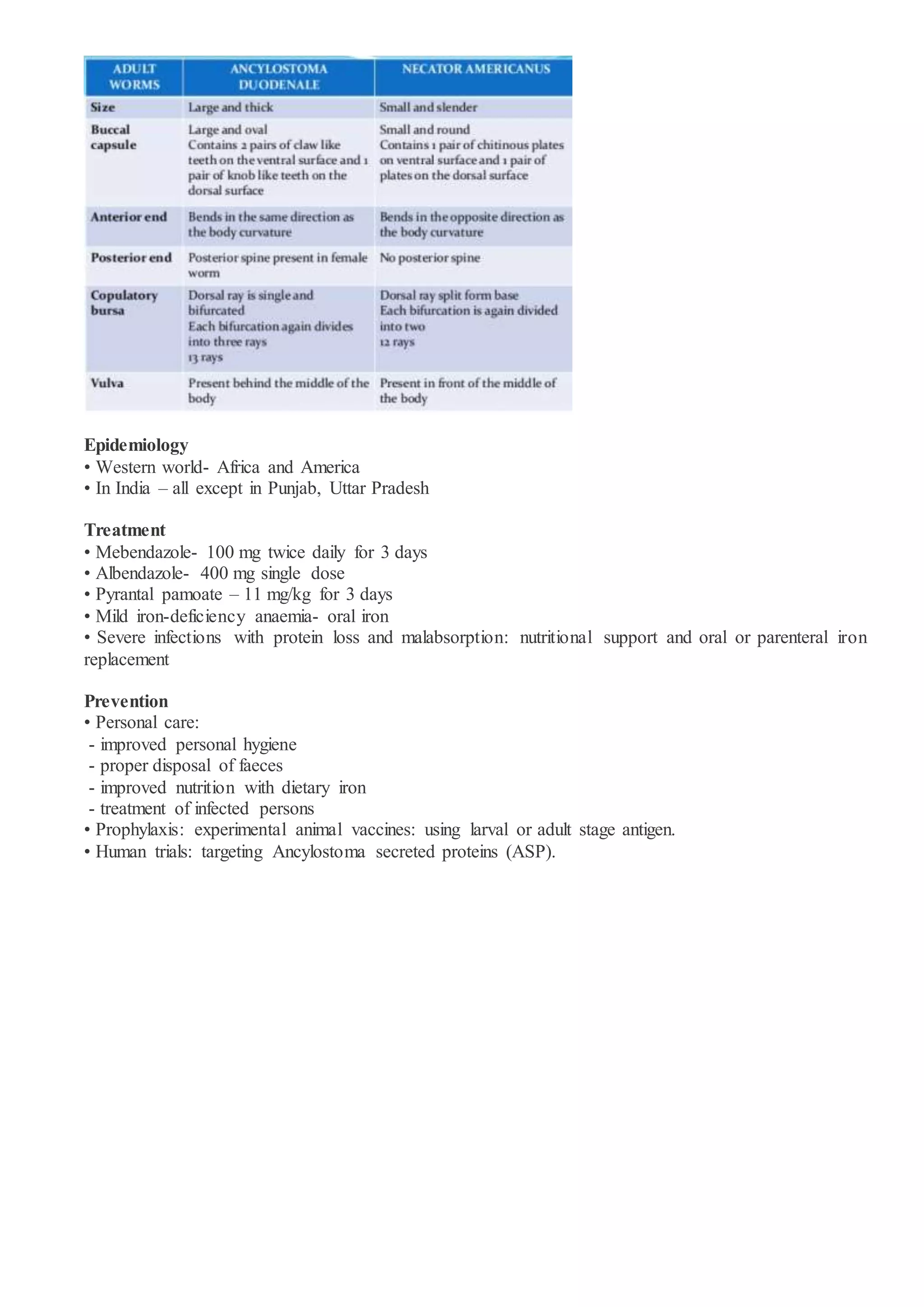 Epidemiology
• Western world- Africa and America
• In India – all except in Punjab, Uttar Pradesh
Treatment
• Mebendazole- 100 mg twice daily for 3 days
• Albendazole- 400 mg single dose
• Pyrantal pamoate – 11 mg/kg for 3 days
• Mild iron-deficiency anaemia- oral iron
• Severe infections with protein loss and malabsorption: nutritional support and oral or parenteral iron
replacement
Prevention
• Personal care:
- improved personal hygiene
- proper disposal of faeces
- improved nutrition with dietary iron
- treatment of infected persons
• Prophylaxis: experimental animal vaccines: using larval or adult stage antigen.
• Human trials: targeting Ancylostoma secreted proteins (ASP).
 