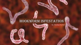 Hookworm infestation
By- Pankaj Kumar
 