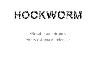 •Necator americanus
•Ancylostoma duodenale
HOOKWORM
 