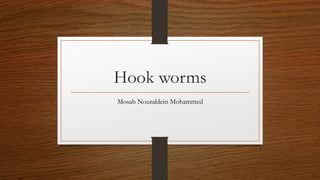 Hook worms
Mosab Nouraldein Mohammed
 