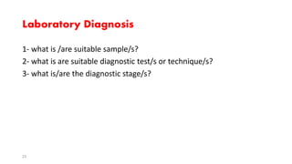 Laboratory Diagnosis
1- what is /are suitable sample/s?
2- what is are suitable diagnostic test/s or technique/s?
3- what is/are the diagnostic stage/s?
23
 