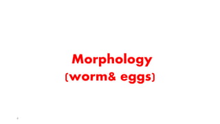 Morphology
(worm& eggs)
4
 