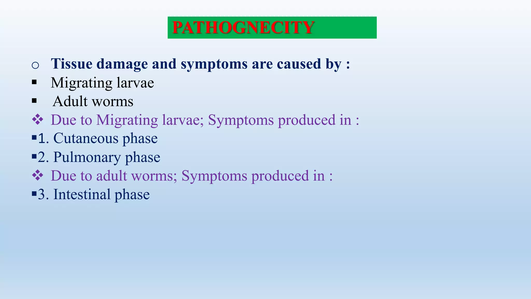 PATHOGNECITY
o Tissue damage and symptoms are caused by :
 Migrating larvae
 Adult worms
 Due to Migrating larvae; Symptoms produced in :
1. Cutaneous phase
2. Pulmonary phase
 Due to adult worms; Symptoms produced in :
3. Intestinal phase
 