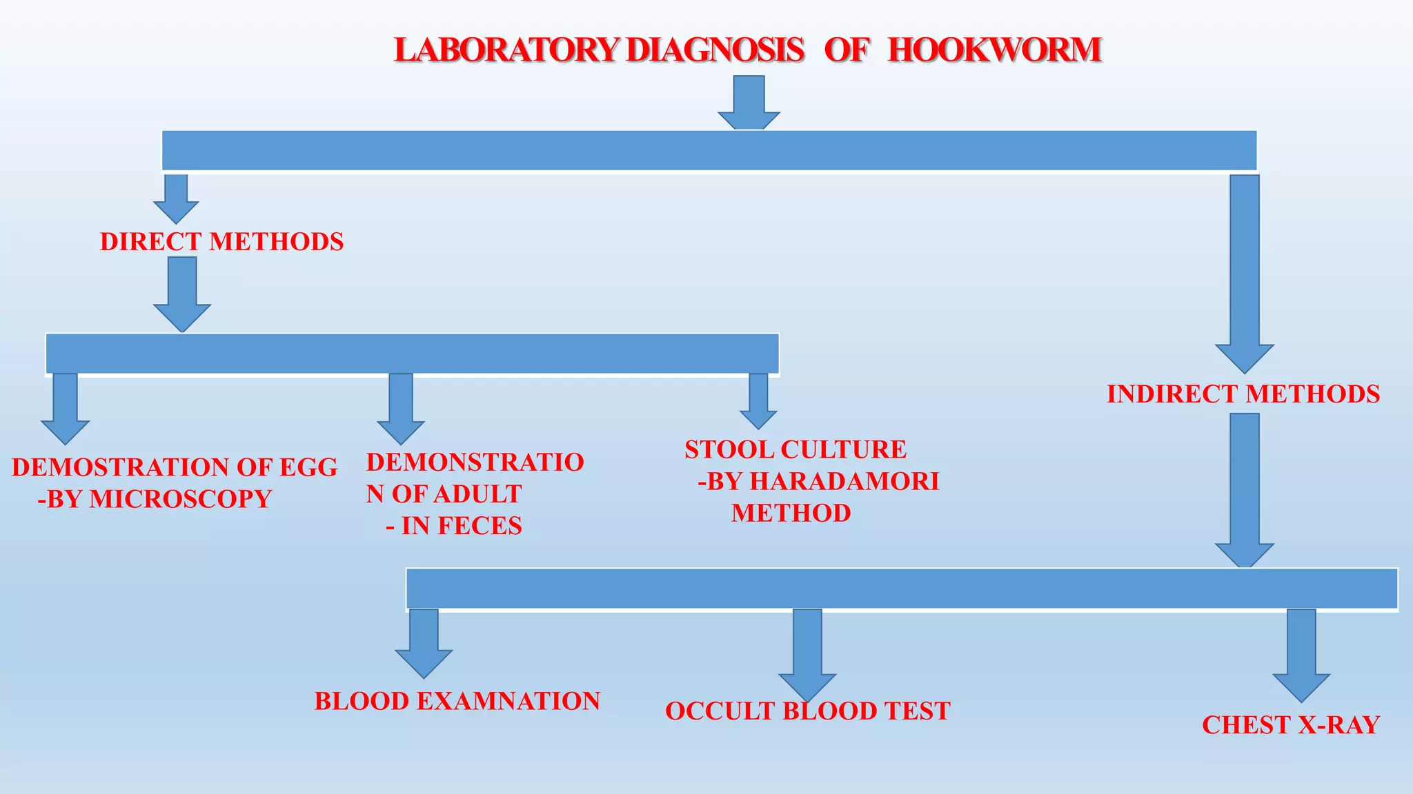 DEMOSTRATION OF EGG
-BY MICROSCOPY
DEMONSTRATIO
N OF ADULT
- IN FECES
STOOL CULTURE
-BY HARADAMORI
METHOD
BLOOD EXAMNATION OCCULT BLOOD TEST
CHEST X-RAY
INDIRECT METHODS
DIRECT METHODS
LABORATORYDIAGNOSIS OF HOOKWORM
 
