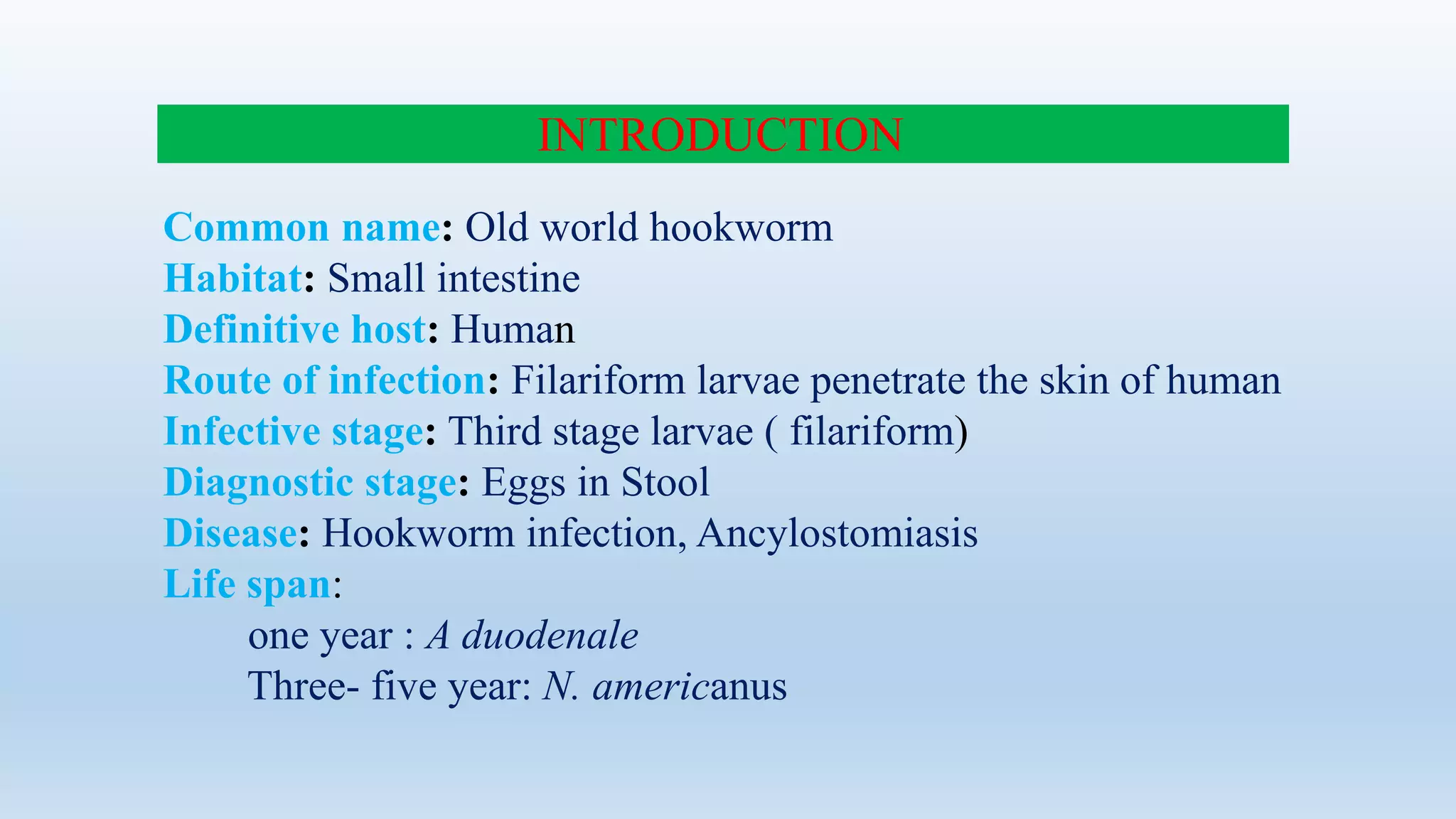Common name: Old world hookworm
Habitat: Small intestine
Definitive host: Human
Route of infection: Filariform larvae penetrate the skin of human
Infective stage: Third stage larvae ( filariform)
Diagnostic stage: Eggs in Stool
Disease: Hookworm infection, Ancylostomiasis
Life span:
one year : A duodenale
Three- five year: N. americanus
INTRODUCTION
 