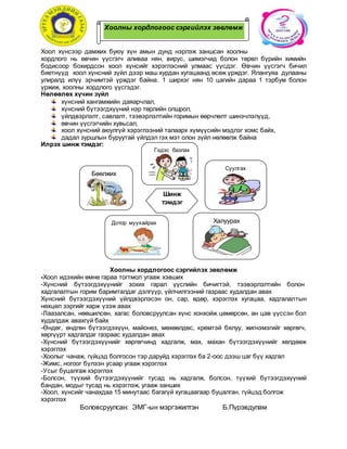 Hool 2015 | PDF