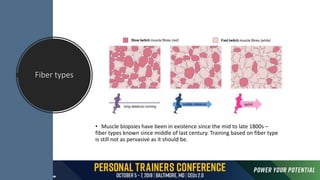 Fiber types
• Muscle biopsies have been in existence since the mid to late 1800s –
fiber types known since middle of last century. Training based on fiber type
is still not as pervasive as it should be.
 