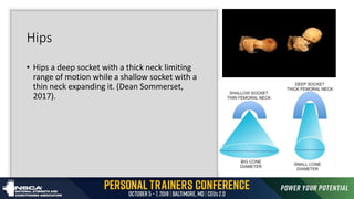 Hips
• Hips a deep socket with a thick neck limiting
range of motion while a shallow socket with a
thin neck expanding it. (Dean Sommerset,
2017).
 