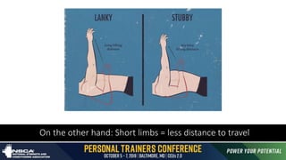 On the other hand: Short limbs = less distance to travel
 