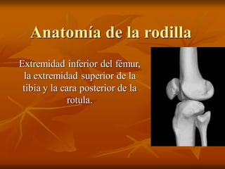 Anatomía de la rodilla
Extremidad inferior del fémur,
la extremidad superior de la
tibia y la cara posterior de la
rotula.
 