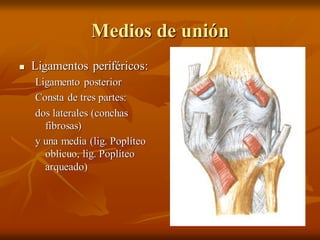 Anatom a De Rodilla PDF anatom-a-de-rodilla-pdf