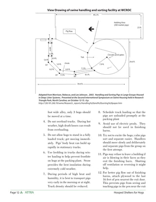 View Drawing of swine handling and sorting facility at WCROC
                                                                                                       ��������


                                                                                                                                   ������������
                                                                                                                                   �����������������

                                                                                                 
                                                                                                                                                                  ������
                                                             ������������




                                 �����
                                 �������                                                                                    ��������������������
                                                                                      ���
                                         �������
                       �������
                                                                                                                                                       ��������
                                                              �����
                        ���                        �������                                                        �������

                                  �������                         �������              �������


                                             ���        �������                              �������
                                                                            ���


                                                                                  ��������




                  Adapted from Morrison, Rebecca, and Lee Johnson. 2003. Handling and Sorting Pigs in Large Groups Housed
                  in Deep-Litter Systems. Presented at the Second International Symposium on Swine Housing held in Research
                  Triangle Park, North Carolina, on October 12-15. 6 p.
                  http://128.101.246.19/swine/Research_reports/Handling%20and%20sorting%20paper.htm


                            foot wide alley, only 3 hogs should                                               8. Schedule truck loading so that the
                            be moved at a time.                                                                  pigs are unloaded promptly at the
                                                                                                                 packing plant
                      4. Do not overload trucks. During hot
                                                                                                              9. Avoid use of electric prods. They
                         weather, high death losses can result                                                   should not be used in ﬁnishing
                         from overloading.                                                                       barns.
                      5. Do not allow hogs to stand in a fully                                               10. Try not to excite the hogs; calm pigs
                         loaded truck; get moving immedi-                                                        sort and separate easier. Handlers
                         ately. Pigs’ body heat can build up                                                     should move slowly and deliberately
                         rapidly in stationary trucks.                                                           and separate pigs from the group on
                                                                                                                 the ﬁrst attempt.
                      6. Use bedding in trucks during win-
                                                                                                             11. Pigs may refuse to leave a building if
                         ter hauling to help prevent frostbite                                                   air is blowing in their faces as they
                         on hogs at the packing plant. Straw                                                     exit the ﬁnishing barn. Shutting
                         provides the best insulation during                                                     off ventilation or reversing it might
                         extremely cold weather.                                                                 help.
                      7. During periods of high heat and                                                     12. For better pig ﬂow out of ﬁnishing
                                                                                                                 barns, attach plywood to the last
                         humidity, it is best to transport pigs                                                  16 feet of pen nearest the exit door.
                         very early in the morning or at night.                                                  This prevents pigs from seeing and
                         Truck density should be reduced.                                                        touching pigs in the pen near the exit

Page 12   ATTRA                                                                                                                    Hooped Shelters for Hogs
 