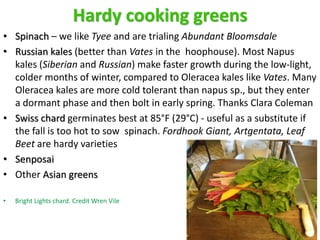 Hardy cooking greens
• Spinach – we like Tyee and are trialing Abundant Bloomsdale
• Russian kales (better than Vates in t...
