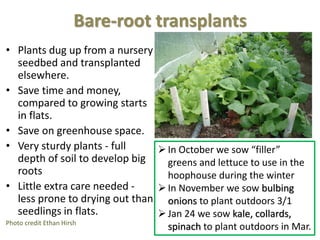 Bare-root transplants
• Plants dug up from a nursery
seedbed and transplanted
elsewhere.
• Save time and money,
compared t...