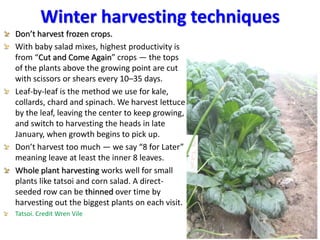 Growing winter crops may involve
sowing when soils are hot
1. Consult the tables in Nancy Bubel’s New Seed Starter’s Handb...