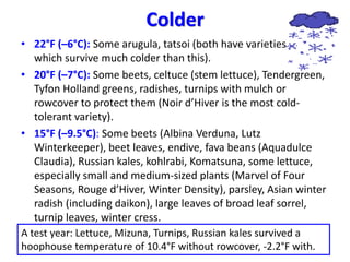 Colder
• 22°F (–6°C): Some arugula, tatsoi (both have varieties
which survive much colder than this).
• 20°F (–7°C): Some ...