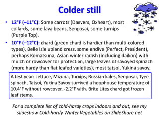 Colder still
• 12°F (–11°C): Some carrots (Danvers, Oxheart), most
collards, some fava beans, Senposai, some turnips
(Purp...