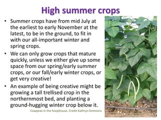 More on seed crops
• You could start by growing one or two seed crops for yourself.
Growing seed for use on your own farm ...