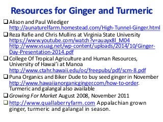 Resources for Ginger and Turmeric
Alison and Paul Wiediger
http://aunaturelfarm.homestead.com/High-Tunnel-Ginger.html
Reza Rafie and Chris Mullins at Virginia State University
https://www.youtube.com/watch?v=auayx8l_M04
http://www.vsuag.net/wp-content/uploads/2014/10/Ginger-
Day-Presentation-2014.pdf
College Of Tropical Agriculture and Human Resources,
University of Hawai’i at Manoa
http://www.ctahr.hawaii.edu/oc/freepubs/pdf/scm-8.pdf
Puna Organics and Biker Dude to buy seed ginger in November
http://www.hawaiianorganicginger.com/how-to-order.
Turmeric and galangal also available
Growing For Market August 2008, November 2011
http://www.quallaberryfarm.com Appalachian grown
ginger, turmeric and galangal in season.
 