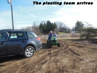 The planting team arrives
 