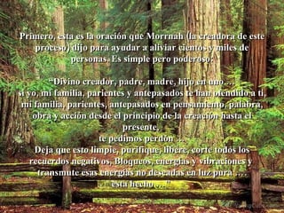 Primero, esta es la oración que Morrnah (la creadora de este proceso) dijo para ayudar a aliviar cientos y miles de personas. Es simple pero poderoso: “ Divino creador, padre, madre, hijo en uno … si yo, mi familia, parientes y antepasados te han ofendido a ti, mi familia, parientes, antepasados en pensamiento, palabra, obra y acción desde el principio de la creación hasta el presente,  te pedimos perdón … Deja que esto limpie, purifique, libere, corte todos los recuerdos negativos, Bloqueos, energías y vibraciones y  transmute esas energías no deseadas en luz pura …. esta hecho …”   
