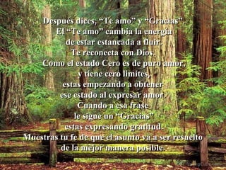 Después dices, “Te amo” y “Gracias”. El “Te amo” cambia la energía de estar estancada a fluir.  Te reconecta con Dios.  Como el estado Cero es de puro amor, y tiene cero limites,  estas empezando a obtener  ese estado al expresar amor.  Cuando a esa frase  le sigue un “Gracias” estas expresando gratitud.  Muestras tu fe de que el asunto va a ser resuelto  de la mejor manera posible.  