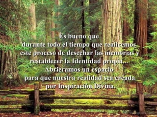 Es bueno que  durante todo el tiempo que realicemos  este proceso de desechar las memorias y restablecer la Identidad propia...  Abriéramos un espacio  para que nuestra realidad sea creada por Inspiración Divina. 