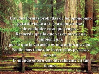Hay dos formas probadas de ho’oponopono para aliviarte a ti  (o a alguien mas)  de cualquier cosa que tengas.  Recuerda que lo que ves en otros esta también en ti,  por lo que la curación es una auto-curación.  Nadie mas tiene que hacer estos procesos sino tu.  El mundo entero esta literalmente en tus manos. 