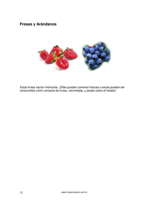www.hooponopono.com.br32
Fresas y Arándanos
Estas frutas vacían memorias. ¡Ellas pueden comerse frescas o secas pueden ser
consumidas como compota de frutas, mermelada, y jarabe sobre el helado!
 