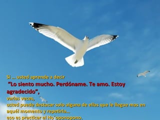 Si … usted aprende a decir
“Lo siento mucho. Perdóname. Te amo. Estoy
agradecido”,
varias veces,
usted puede destacar solo alguna de ellas que le llegue mas en
aquél momento y repetirla…
eso es practicar el Ho´oponopono.
 
