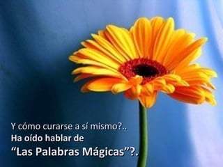 Y cómo curarse a sí mismo?..
Ha oído hablar de
“Las Palabras Mágicas”?.
 