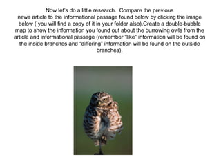 Now let’s do a little research.  Compare the previous news article to the informational passage found below by clicking the image below ( you will find a copy of it in your folder also).Create a double-bubble map to show the information you found out about the burrowing owls from the article and informational passage (remember “like” information will be found on the inside branches and “differing” information will be found on the outside branches). 